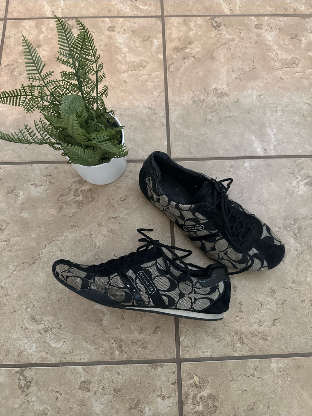 COACH REMONNA SNEAKERS